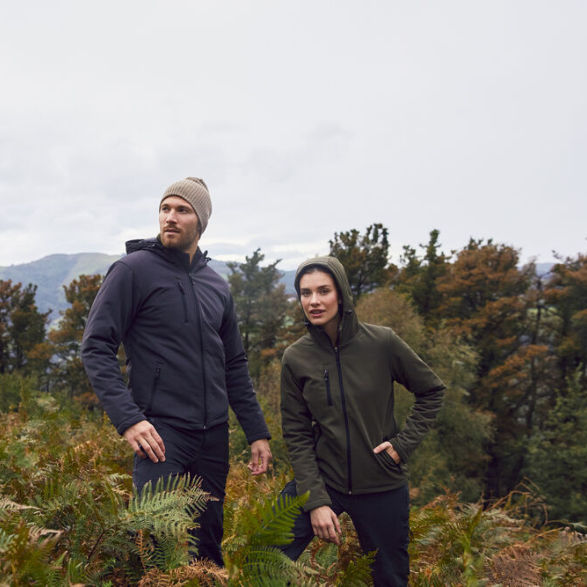Clique Padded Hoody Softshell Jacka Herr
